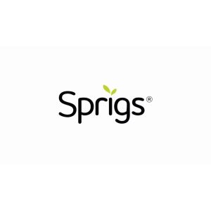 Sprigs 3 Pocket Running Belt