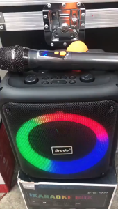 BTS-1935 3600mAh  6.5 inch IKARAOKE BOX professional system Bluetooth speaker with microphone