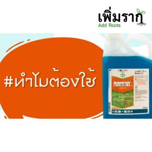 บาสต้า เอ็กซ์ BAYER (กลูโฟซิเนต-แอมโมเนียม 15% W/V SL) 1 ลิตร (Glufosinate-Ammonium 15% W/V SL) 1L