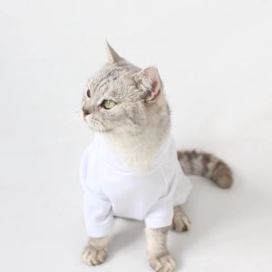Baju Kucing Anjing Cewek Cowo Lucu Murah 3 pcs 5 Ribu - BUKIPET BROOKLYN PLANET HOODIE