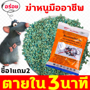 ยาเบื่อหนู ยาฆ่าหนู 1 คืน หนูตายหมด RATICIDE หนูที่ชอบกิน 150g ข้าวสาลี ยาเบื่อหมา
