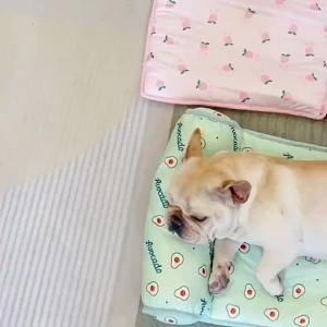Pet Cooling Ice Mat Summer Ice Silk Dogs Cat Breathable Blanket Pet Cooling Pad Pet Sleeping Mat Cat Cushion Pet Supplies