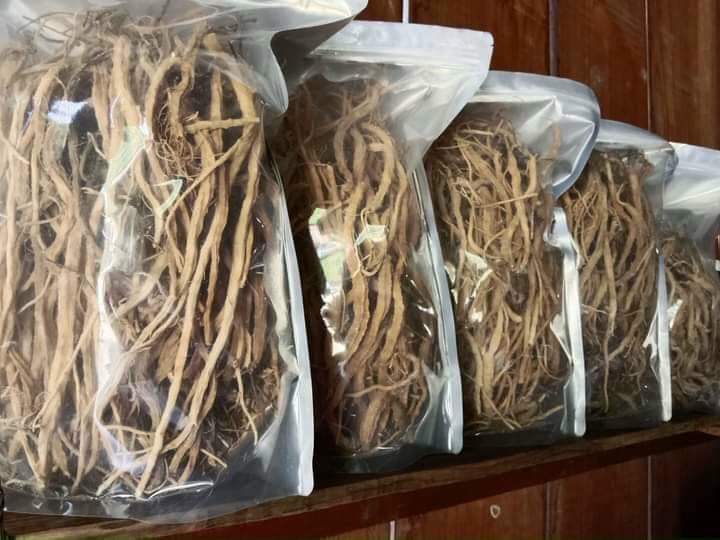Cách ngâm sâm dây ngọc linh
