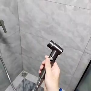 ABS HAND BIDET Douche Adjustable SPRAY GUN Toilet Bathroom P1012 (Black/Gun Grey/Silver) / S706/S707B/S708W/S709GG/SUS304 SSBH12