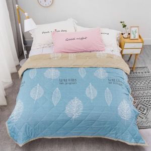 Soft Comfortable Childrens Summer Quilt Double Washable Air Conditioner Quilt Single Non-Cotton Student Core Polyester Fiber