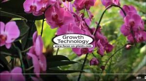 Growth Technology Orchid Focus Repotting Mix (For Orchid Species: Phalaenopsis Paphiopedilum Dendrobium Cymbidium Orchid Growing Medium Orchid Bark Premium Wood Bark for Orchid)