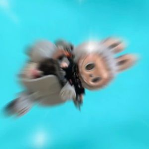 Kaos Atasan Anak Usia 1-12 Tahun Bergambar Labubu The Elf Lengan Panjang Bahan Babyterry