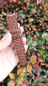 Strap Tali Jam Tangan Kulit - Exotic Snake Skin Warna Coklat Garansi 1 Tahun