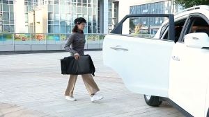 Dog Car Seat Cover Customize Ver Pet Car Rear Mats Car Seat Protector Waterpooof Scrachproof Easy to Clean Thickened