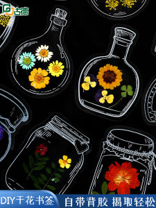 DIY Handmade Creative Sticker Leaf Specimen Bookmarks Self-adhesive Kindergarten Children Collection Album Paste Pictures