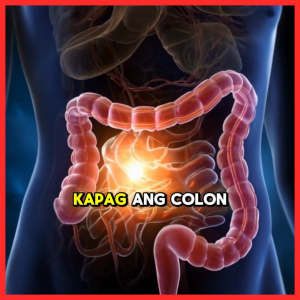Tocoma Colon Cleanser Food Supplement | Digestive Health Gut Cleanse & Detox Support