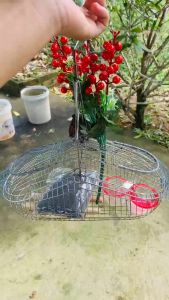 Lồng bẫy chim khuyên hút mất Inox tặng kèm phụ kiện