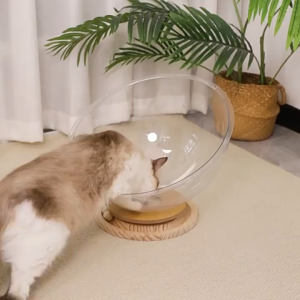 2-in-1 Space Capsule Cat Nest Full Transparency Semi-enclosed Acrylic Cat Bed with Catnip Ball Toy