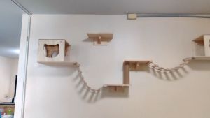 คอนโดแมวติดผนัง เสริมสร้างใส พลาสติก 10 ประกัน พื้นที่ขนาดใหญ่ กล่องแมวติดผนังเซต ถุงนอนแมว คอนโดแมว COD