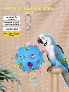 VOA |Educational Toy for Boredom Relief and Self-entertainment Bird Toy