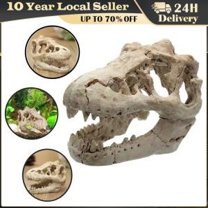 Resin Dinosaur Stone Statue Decorative Props Mini Crocodile Skull Statue Crafts Arts Artificial Decor for Aquarium Landscaping