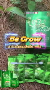 บี โกร สารเพิ่มประสิทธิภาพพืช ชุด 1 ซอง ใช้ได้กับพืชทุกชนิด ซองเดียวจบ​ ดูแลครบ​ ตั้งแต่​ ราก​ ลำต้น​ ใบ ลดต้นทุน เพิ่มผลผลิต ( Be-Grow )