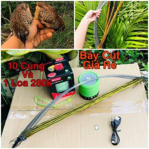 Combo bẫy cút (1 Loa + 1 thẻ +10 cung cút)