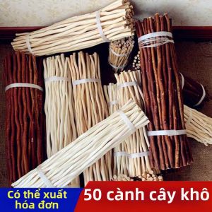 Trang Trí Phong Cách Gỗ Trắng Thiên Nhiên