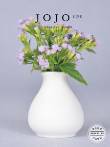 JOJOS L. Ceramic Desktop Decoration Home Decor Small Aromatherapy Bottle Flower Vase Country Style Pure Color Odd Shaped Flower Vase