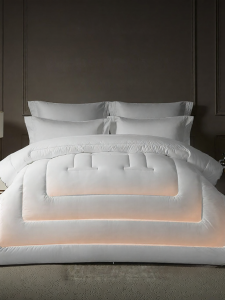 KANGERXIN | Thin Antibacterial All-Season Quilt