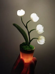 Đèn Đêm Mini DIY Hoa Chuông Thủ Công Quà Tặng Sáng Tạo Cho Bạn Trai Đồ Trang Trí Đồ Chơi Sáng Tạo Đồ Chơi Thủ Công Đồ Chơi Sáng Tạo