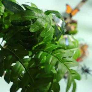 Miniature Insect Animal Models Simulation Butterfly Bee Dragonfly Mantis Snail Action Figures Educational Collection Toy for Kid