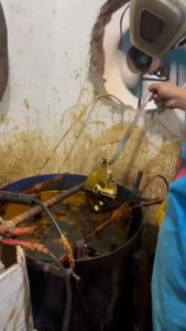 panel Tutup tromol/kampas RX king/Vega R/Jupiter MX/FIZ R sudah crom