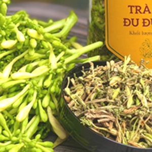 Trà nụ hoa đu đủ đực sấy lạnh với mật ong rừng. (HỘP 100 TÚI LỌC 25x55mm)