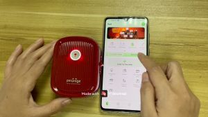 Peripage P10 Label Printer: A Portable & Efficient Mini Label Maker