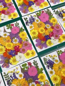 Flower Pressing Handicraft Material