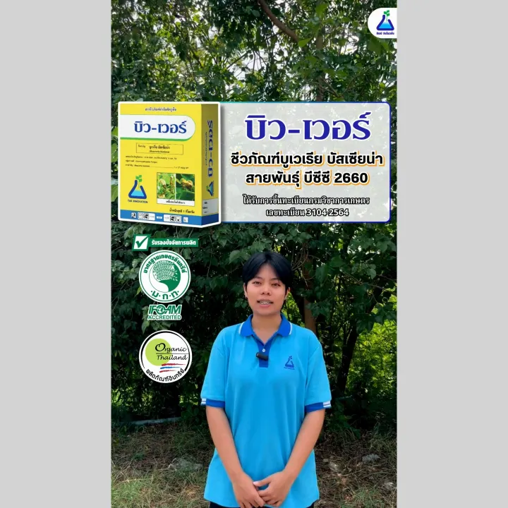 บิว-เวอร์ บิวเวอร์เรีย บัสเซียน่า 500 กรัม ปลอดสารเคมี
