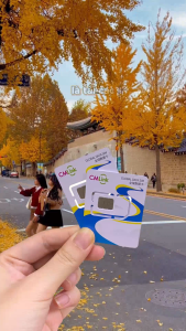 Sim 4G 5G Du Lịch hàn Quốc  Seoul  Busan  Jeju Data Tốc Độ Cao 3GB/Ngày – Sóng Khỏe Dùng Khắp Hàn Giá Tốt – Tiện Lợi Cho Chuyến Đi - FREESHIP - CHƯA KÍCH HOẠT