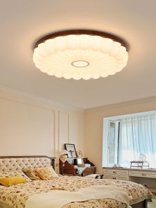 DGY | New Traditional Style Bedroom Ceiling Light