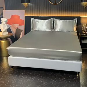 Satin Soft Silk Solid Bed Sheet Queen/King Getah keliling Fitted Cadar Single 6Color Bedsheet Anti-Dush Cadar