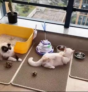 💎120x70 แผ่นดักทรายแมว พรม 2 ชั้น EVA แผ่นดักทรายแมวขนาดใหญ่พิเศษ สามารถนำทรายกลับมาใช้ไหม่ได้💎