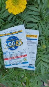 [TRUNG THIEN THINH] COC 85 WP gói 100 gram thuốc trừ bệnh thán thư nấm hồng chết nhanh trên cây trồng dạng bột