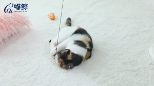 Pet Soft Plushie Vibrating mouse Cat Interactive Teaser Toy Pet Accessories