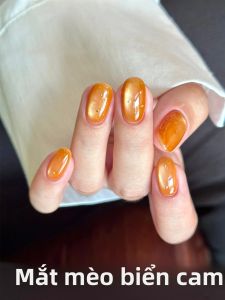 Sơn Móng Tay Dạng Gel TC 2025 Siêu Trắng Sáng Hiệu Ứng Mắt Mèo Màu Cam Biển Bong Bóng Nước Hạt Thủy Tinh Đa Năng 10ml