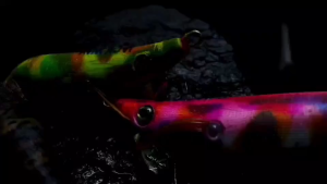 โยตกหมึก แจ็คเวย์ Jacks way เหยื่อตกหมึก ขนาด 1.5 /1.8 / 2.2 / 2.5 / 3.0