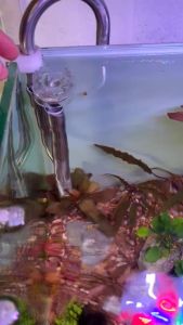 In out inox fi 12 fi16 có lọc váng xoay hàng siêu đẹp. Chuẩn inox 304 bóng đẹp.