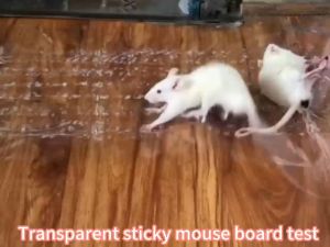 【mice cant see】sticky mouse trap for big rat 27*120cm Special odor seduce Catching smart mice 500% stickiness rat killer