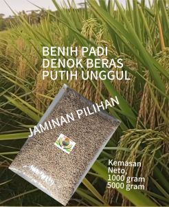 Benih bibit padi DENOK SUPER jaminan pilihan 1 kg