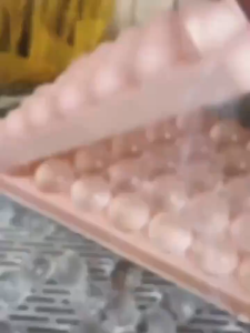 SUMMER DIY HOT SALE 6 grid 33 grid DIY homemade ice tray mold Ice Cube Molder /Grids Colorful Round