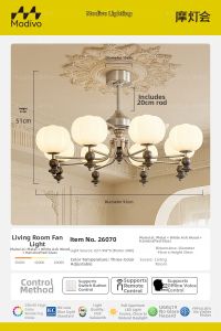 FANCY LAMP CLUB | Vintage French Bauhaus Style Eye Protection Living Room Fan Light