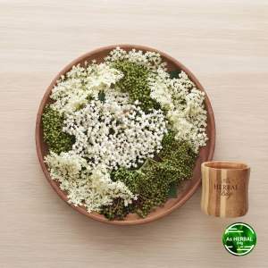 Bunga sangitan segar asli sambucus javanica flower-az