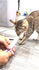 YTL ขนมแมวเลียโซเดียมต่ำ (แพ็ค 10 ชิ้น) ขนมแมว 16 กรัม