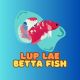 ลับแลปลากัด | luplaebettafish