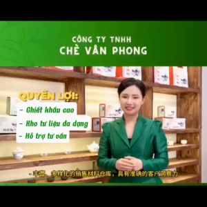 Trà Xanh Cổ Thụ Vân Phong 250gr - Túi Zip - Hương Vị Truyền Thống