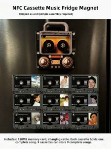 AMU·PIGGY | NFC Auto-Play Music Acrylic Fridge Magnet